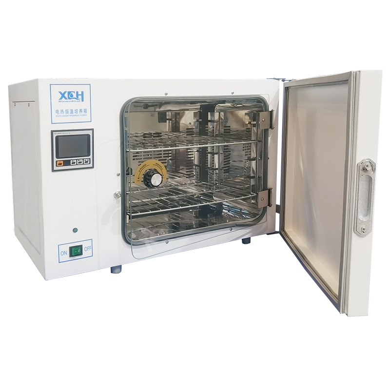 Inkubator Pemanasan Elektrik Digital 600L (RT+5℃ ～ 65℃)