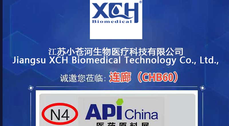 API Farmaseutikal Antarabangsa China ke-88